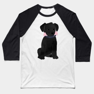 Cute Preppy Black Lab Puppy Dog Baseball T-Shirt